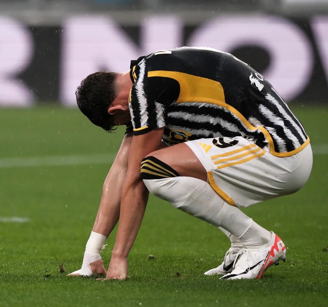 为何选择马 为何选择马